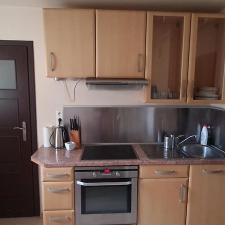 Apartament Czarny Potok Krynica-Zdrój Esterno foto