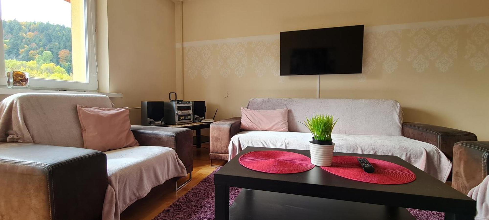 Apartament Czarny Potok Krynica-Zdrój Esterno foto